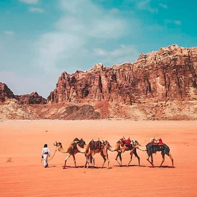 Bedouin Campsite & Tours Hotel Wadi Rum Exterior foto